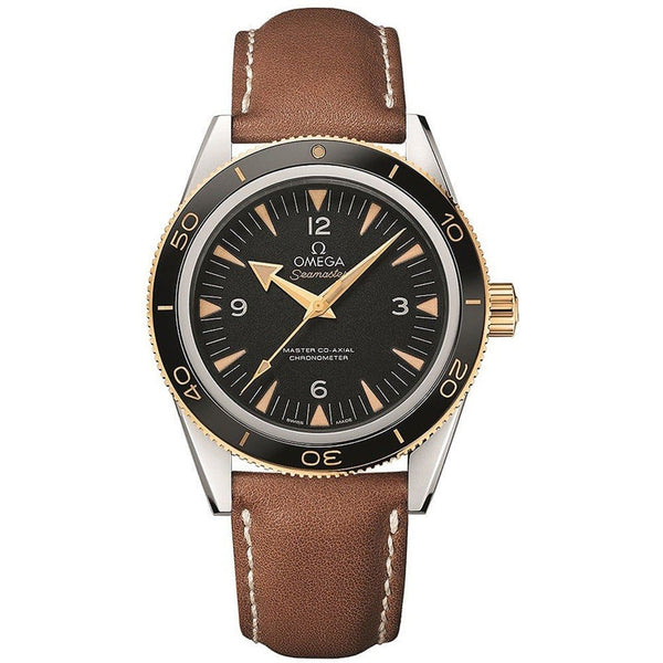 Omega Seamaster 300 Master Co-Axial 41mm Stainless Steel Black Dial Ref. 233.22.41.21.01.001