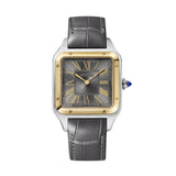 Cartier Santos de Cartier W2SA0028 Large Steel & Yellow Gold Grey Dial