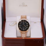 Omega Seamaster 300 Master Co-Axial 41mm 18kt Rose Gold Ref. 233.60.41.21.01.001