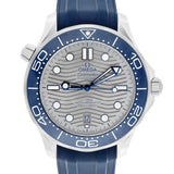 Omega Seamaster Diver 300M 210.32.42.20.06.001 42mm Grey Dial Rubber Strap