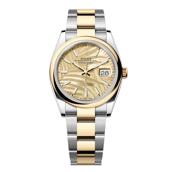 Rolex Datejust 36 126203-0038 Champagne Palm Motif Dial Yellow Rolesor Domed Bezel Oyster Bracelet