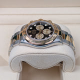 Rolex Cosmograph Daytona 126503-0002 Black Diamond Dial Yellow Rolesor Oyster Bracelet
