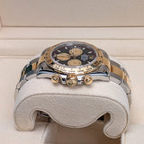 Rolex Cosmograph Daytona 126503 Paul Newman Dial Oyster Bracelet 40mm