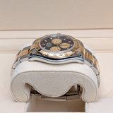 Rolex Cosmograph Daytona 126503 Paul Newman Dial Oyster Bracelet 40mm