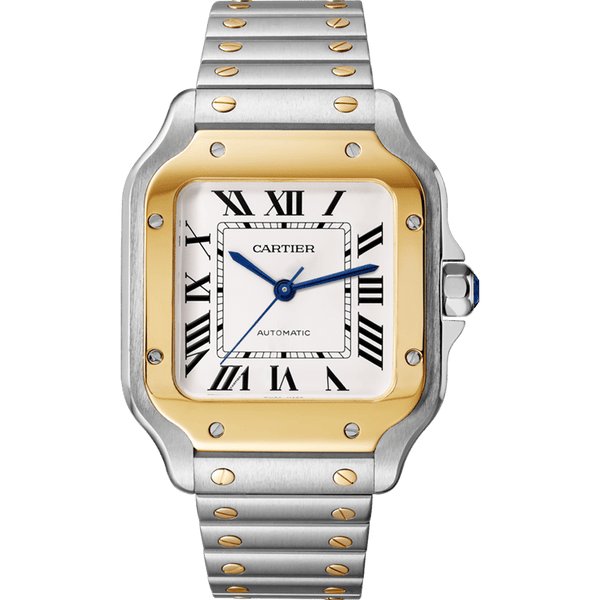 Cartier Santos 35mm | W2SA0016