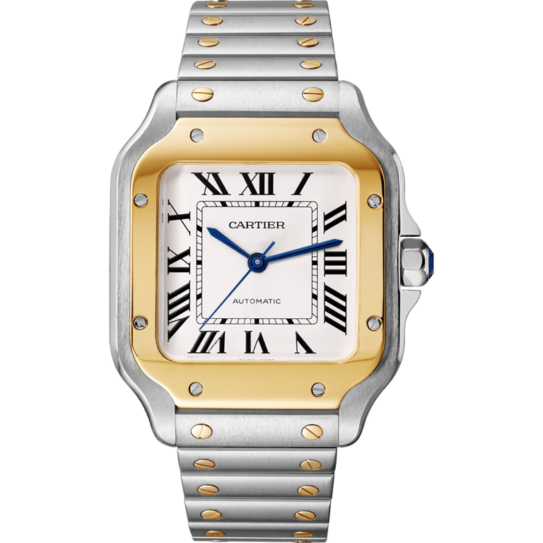 Cartier Santos 35mm | W2SA0016