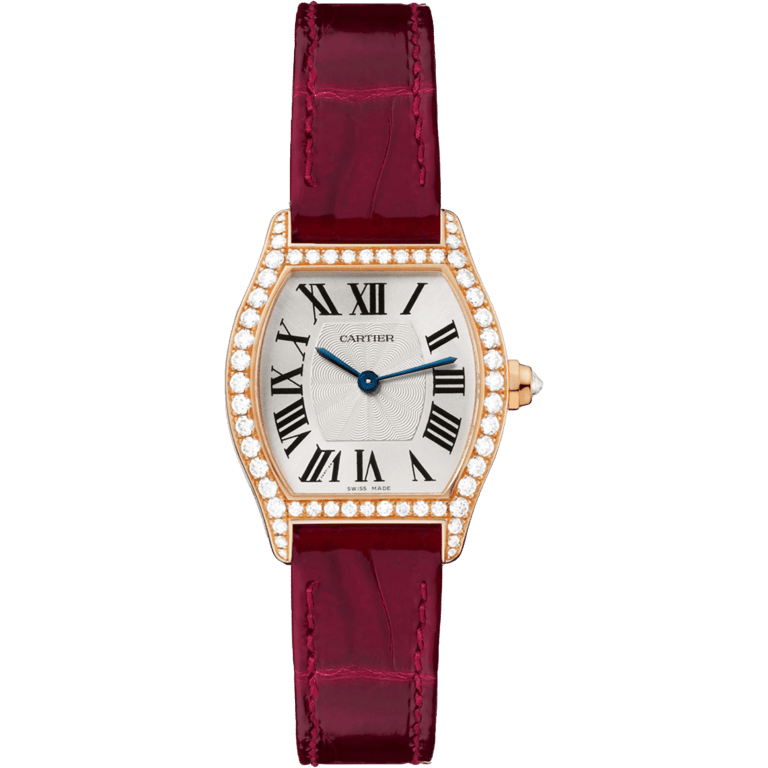 Cartier Tortue Small Model | WA501006